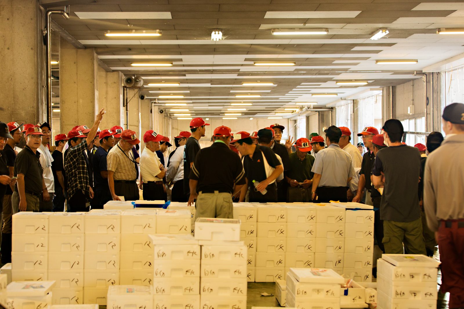Buyers in red caps gathered around rows of white foam boxes inside the fish market hall during the morning auction