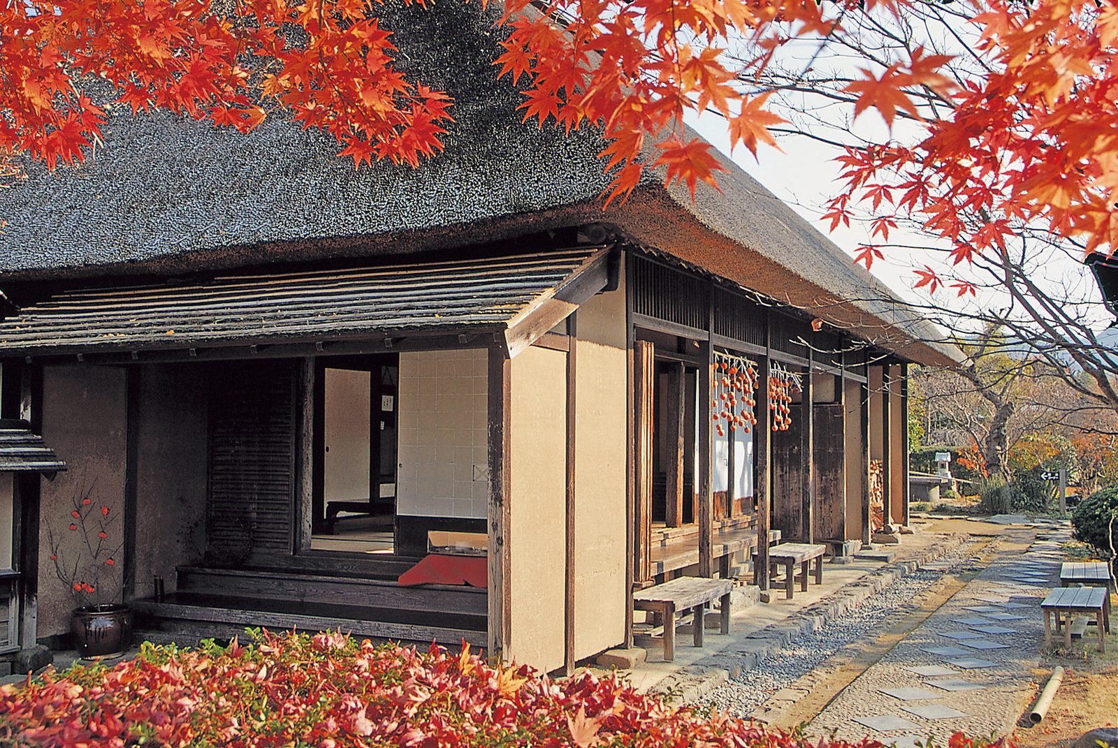 Thatched-roof house veranda with autumn maple leaves and persimmons drying under the eaves.