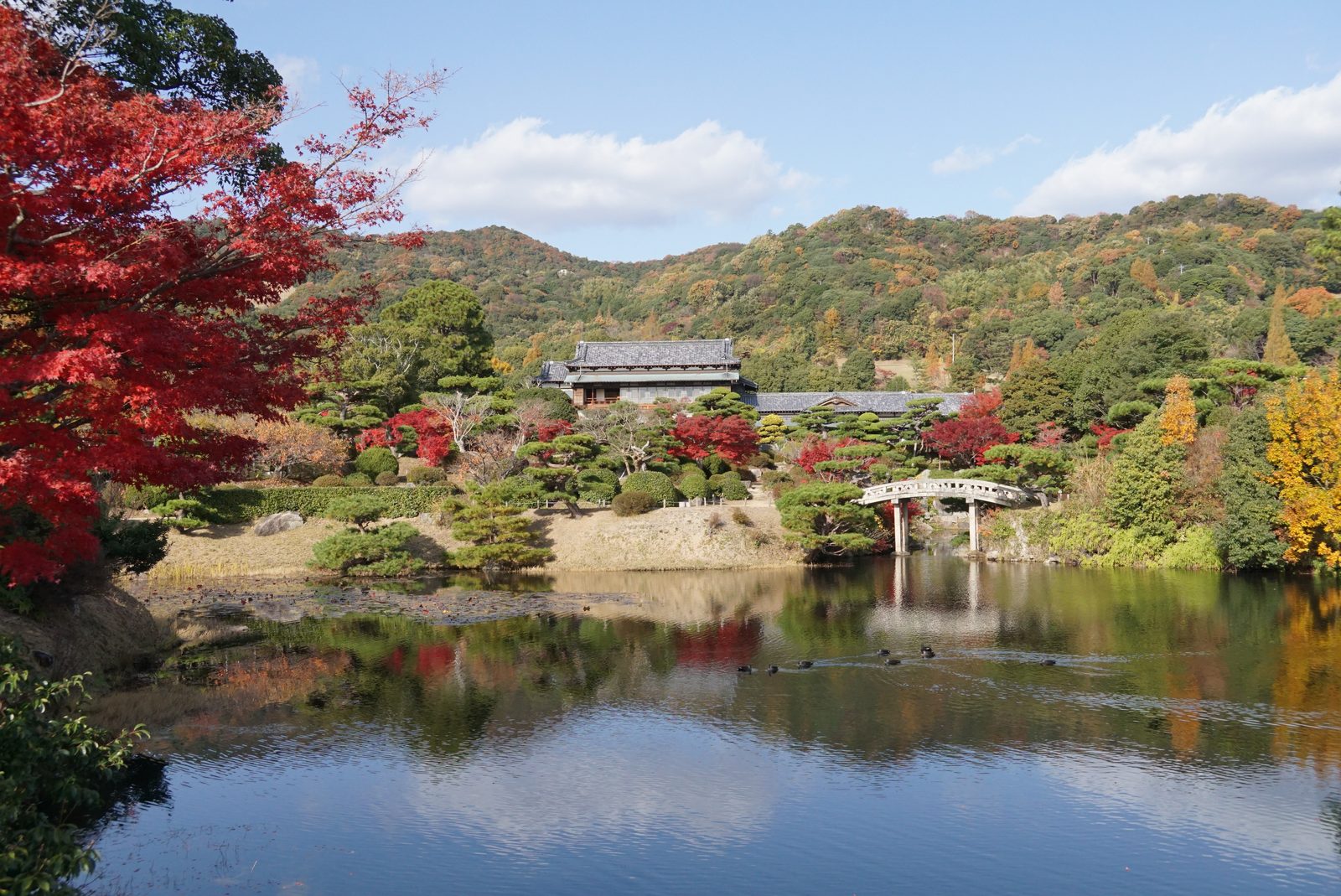 Autumn maples reflected in the pond of the Mohri Garden, with a stone arched bridge and the former Mohri residence below wooded hills