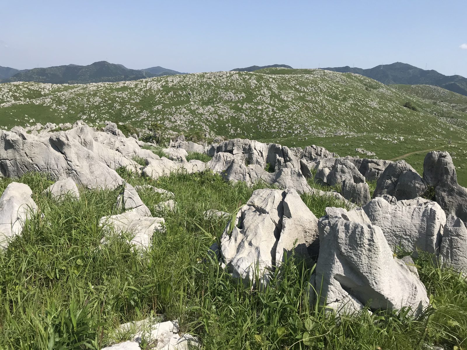 Grey-white limestone outcrops rising from grassland on the Akiyoshidai plateau, with green hills and mountains under a clear sky