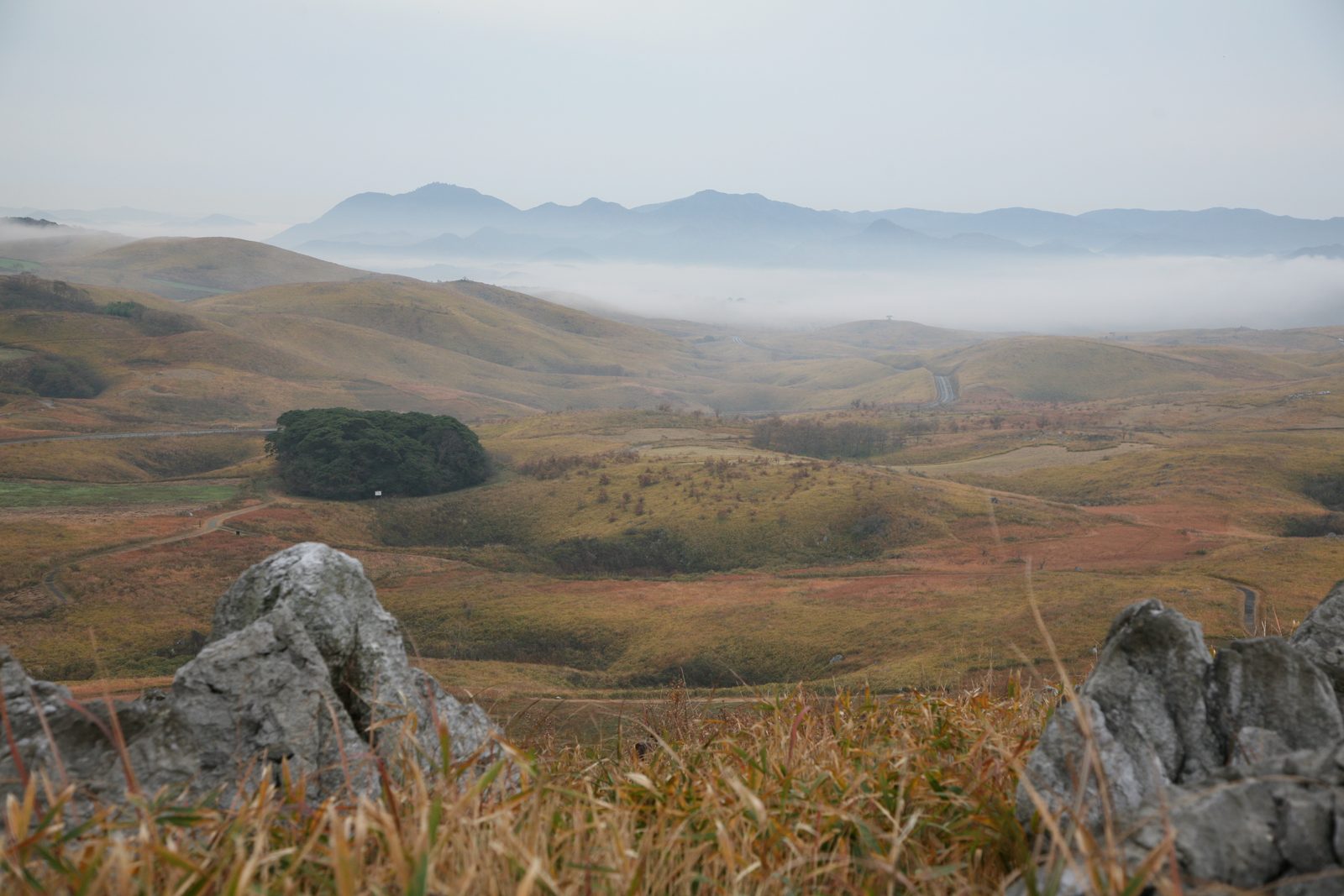 Autumn grassland on the plateau in dry gold, with mist filling the valley below and mountains in the distance