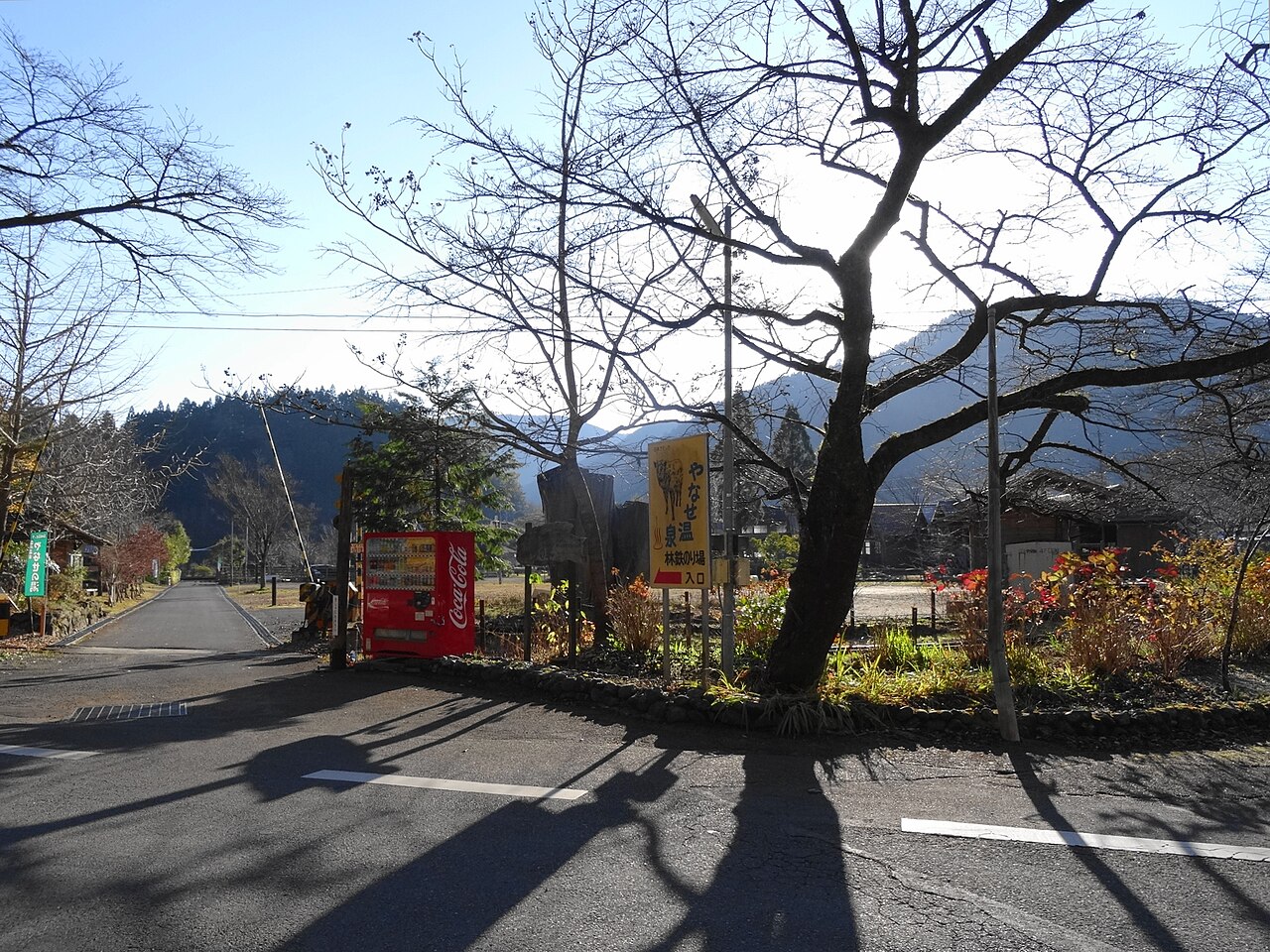 The entrance to the Yanase forest railway boarding area, with a signboard beside a bare tree and a quiet road running between low forested mountains.